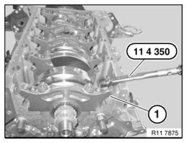 Crankshaft With Bearing